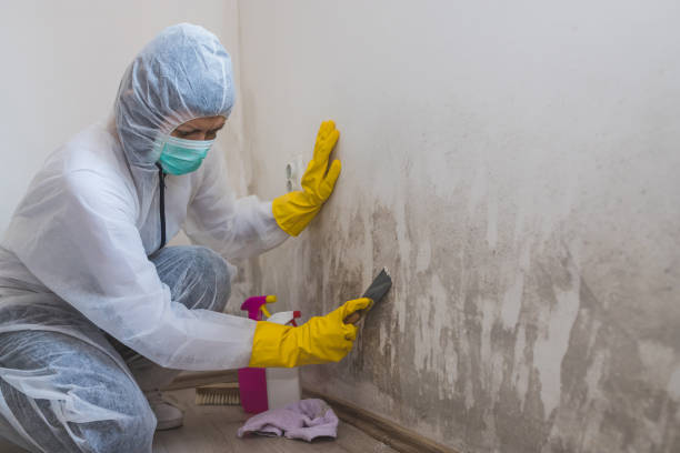 Best Industrial Mold Remediation  in Kershaw, SC
