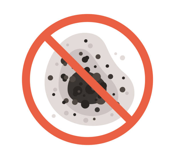 Best Environmental Consulting for Mold Prevention  in Kershaw, SC