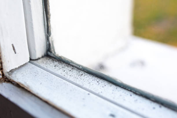 Best Mold Documentation for Insurance Claims  in Kershaw, SC